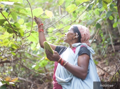 This scheme of the government of women's rights and organic farming in rural India, what is the purpose