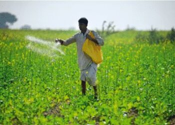 Total sowing area for kharif crops beyond 89 lakh hectare
