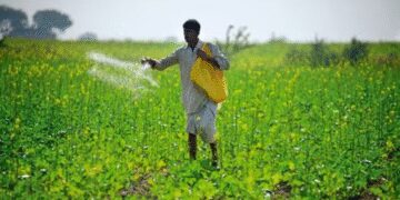 Total sowing area for kharif crops beyond 89 lakh hectare