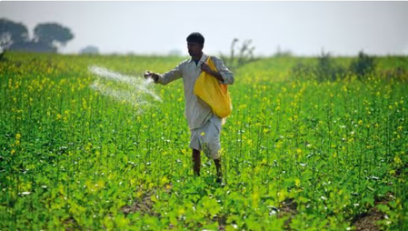 Total sowing area for kharif crops beyond 89 lakh hectare