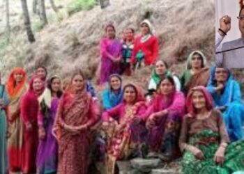 Uttarakhand News: | Uttarakhand News: War with forest fire: Women become greenery, government appreciated | News Track in Hindi