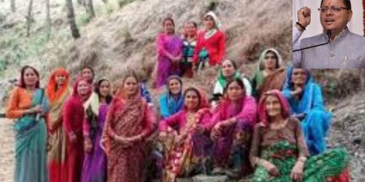 Uttarakhand News: | Uttarakhand News: War with forest fire: Women become greenery, government appreciated | News Track in Hindi