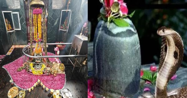 Nag Panchami 2025: Offer Nag Nagin couple to Shiva, this is special worship for the prevention of Kalsarp Dosh