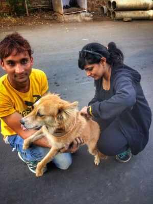 Anti-rabies vaccine available in 80 percent public health centers in India: Lancet report