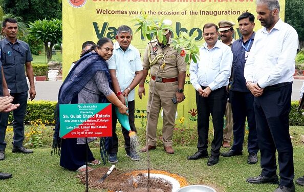 Chandigarh created Green History: 1.05 lakh saplings were planted in a day under the leadership of Administrator Gulab Chand Kataria