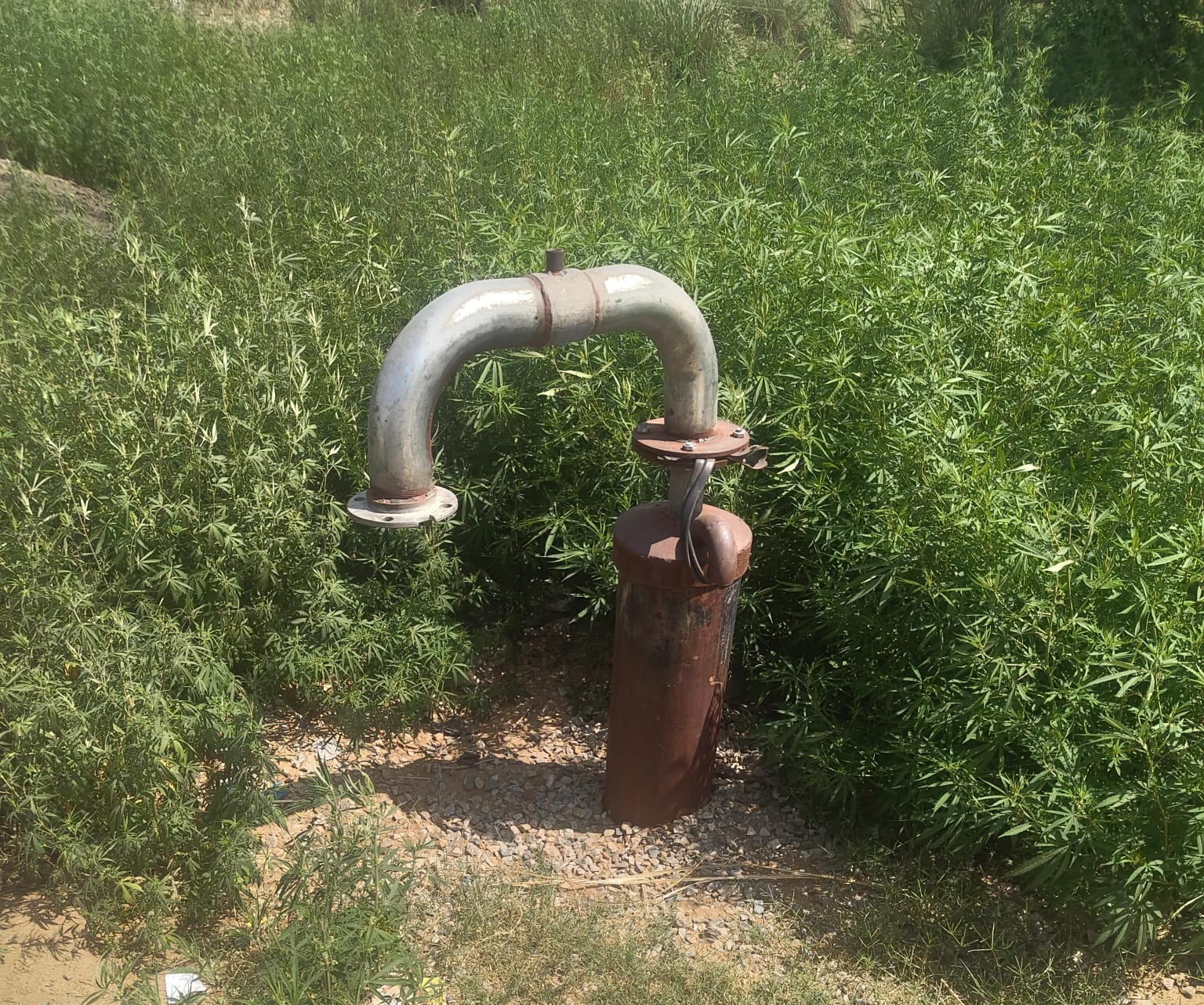 Crores of scam, hand pump improvement and fake video in tube wells also appeared in Rajasthan's Water Supply Department