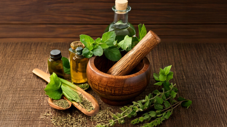 Director of Morarji Desai Yoga Institute said, 'Must promote traditional medicine in healthcare'