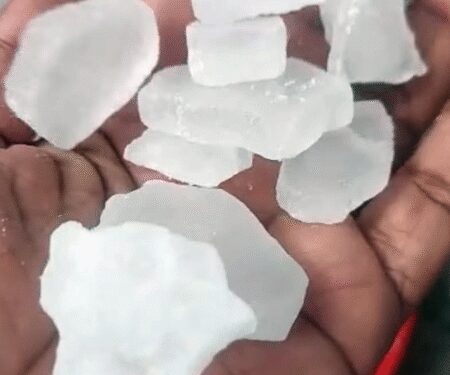 क्या आपका कपूर असली है? पहचानें भीमसेनी कपूर और करें शुद्धता का अनुभव