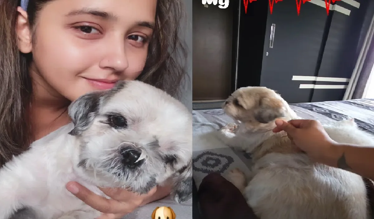 Kajal Raghavani considers her PET as her heartbeat, looted a lot in video