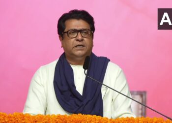 "Kill under the ear, but don't make videos": Raj Thackeray's controversial statement, then flared fire