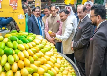 Mango in UP, Bihar and Bengal in Abu Dhabi