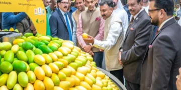 Mango in UP, Bihar and Bengal in Abu Dhabi