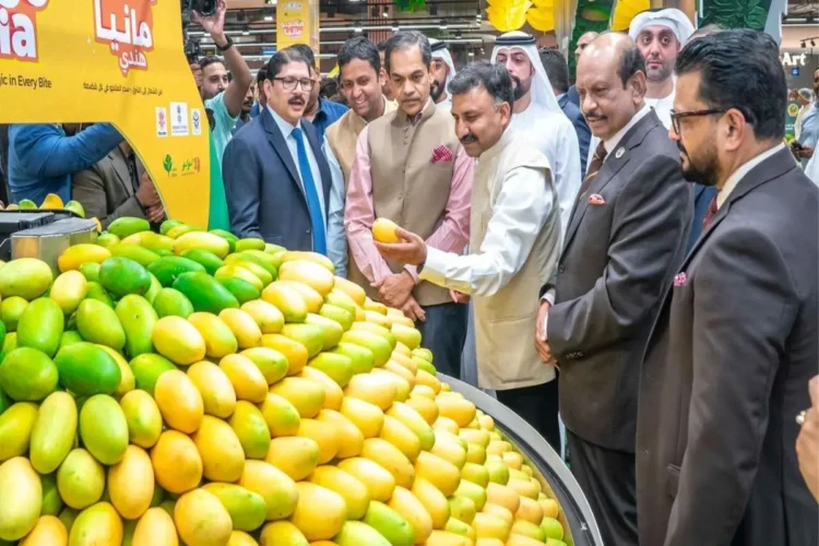 Mango in UP, Bihar and Bengal in Abu Dhabi