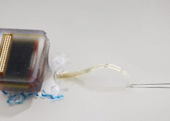 New hope in treating spinal cord injury: Researchers developed implantable devices
