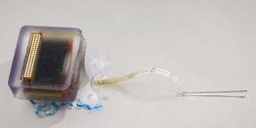 New hope in treating spinal cord injury: Researchers developed implantable devices