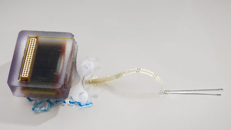 New hope in treating spinal cord injury: Researchers developed implantable devices
