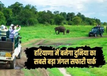 Now come to Africa for jungle safari, come to Haryana, the secret of 'Vanraj' will start in Aravalli!