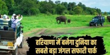 Now come to Africa for jungle safari, come to Haryana, the secret of 'Vanraj' will start in Aravalli!