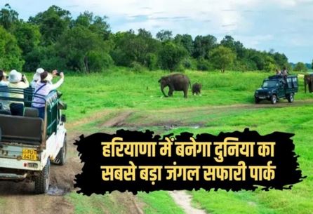 Now come to Africa for jungle safari, come to Haryana, the secret of 'Vanraj' will start in Aravalli!