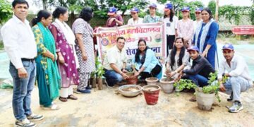 Plantation program organized under Mission Hariyalo Rajasthan in college