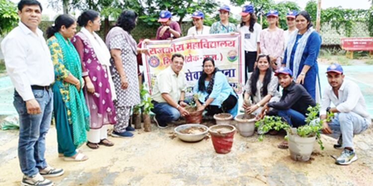Plantation program organized under Mission Hariyalo Rajasthan in college