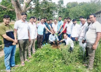 Planting in Mansa Mata temple complex on the birthday of PCC Secretary Sanjay Yadav