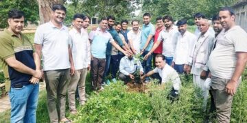 Planting in Mansa Mata temple complex on the birthday of PCC Secretary Sanjay Yadav