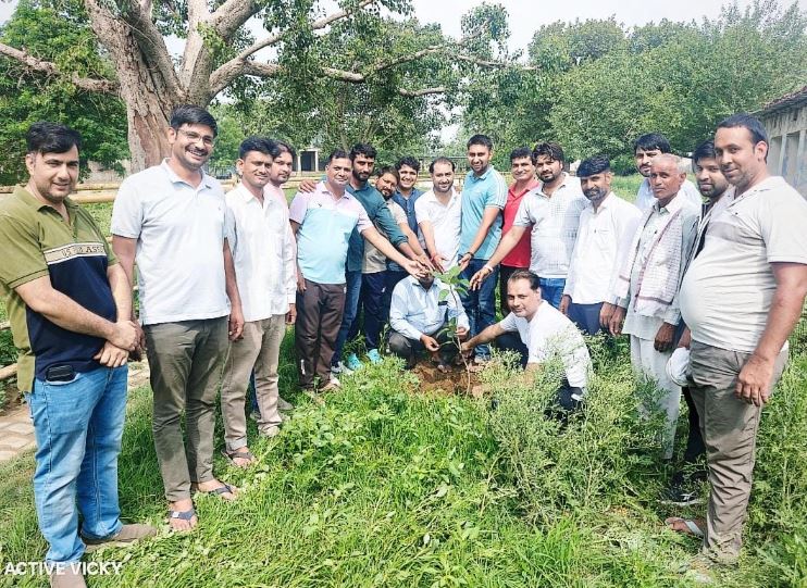 Planting in Mansa Mata temple complex on the birthday of PCC Secretary Sanjay Yadav