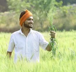 Relief to the farmers of Haryana now! Now every solution related to farming will be found in the village itself!