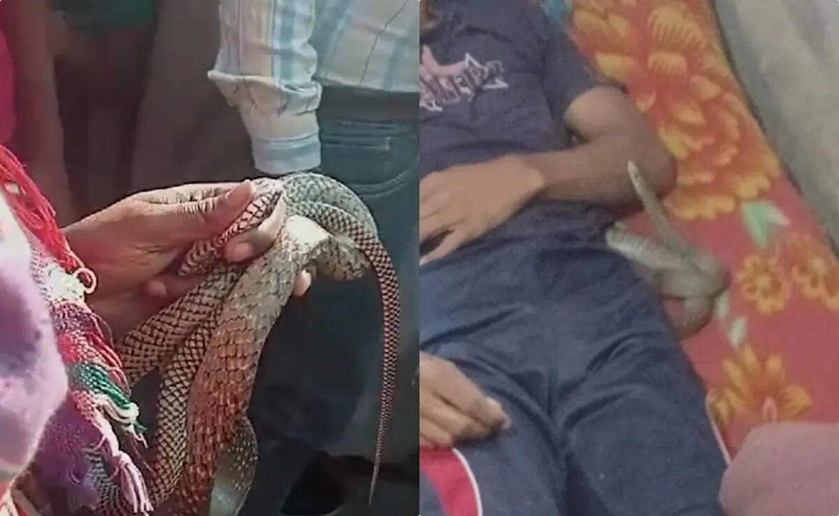 Shadow on husband-wife relationship in Meerut again shared: Wife added poison in Sevai, husband's life saved