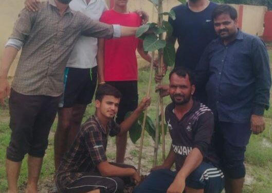 Suvana youth planted more than two sleep