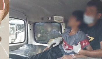 Tamil Nadu issued advisory on rabies prevention after dog bites in Kerala