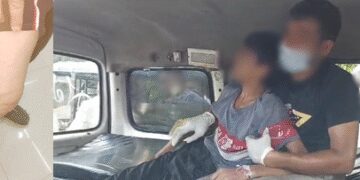 Tamil Nadu issued advisory on rabies prevention after dog bites in Kerala