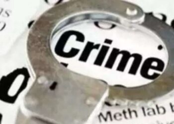 Troubled by girlfriend, the daughter killed her for her mother and then ...