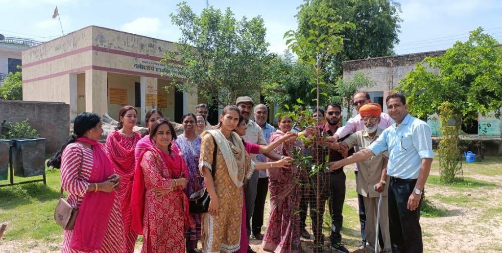 Unique initiative of teacher Indra Sharma on birthday - 21 saplings planted in school premises, message of environmental protection