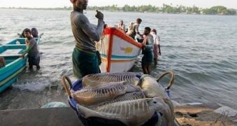 When will the arrest of fishermen stop? Sri Lanka again arrested 7 Indians