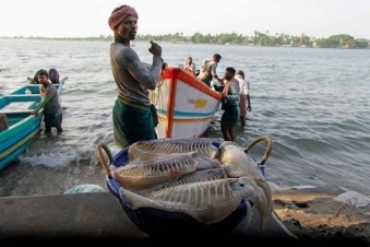 When will the arrest of fishermen stop? Sri Lanka again arrested 7 Indians