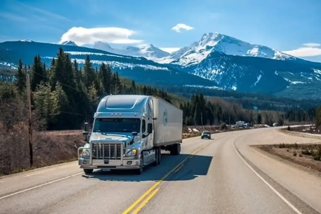 America imposed immediate ban on work visas of foreign truck drivers, an Indian driver arrested