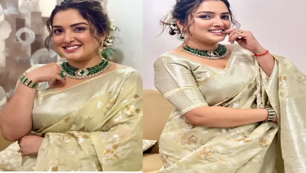 Amrapali Dubey is beautiful Indian woman in saree, hair shocked looted heart