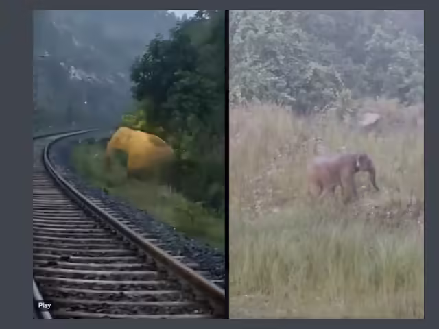 The train coming from the front was walking in fun on the track