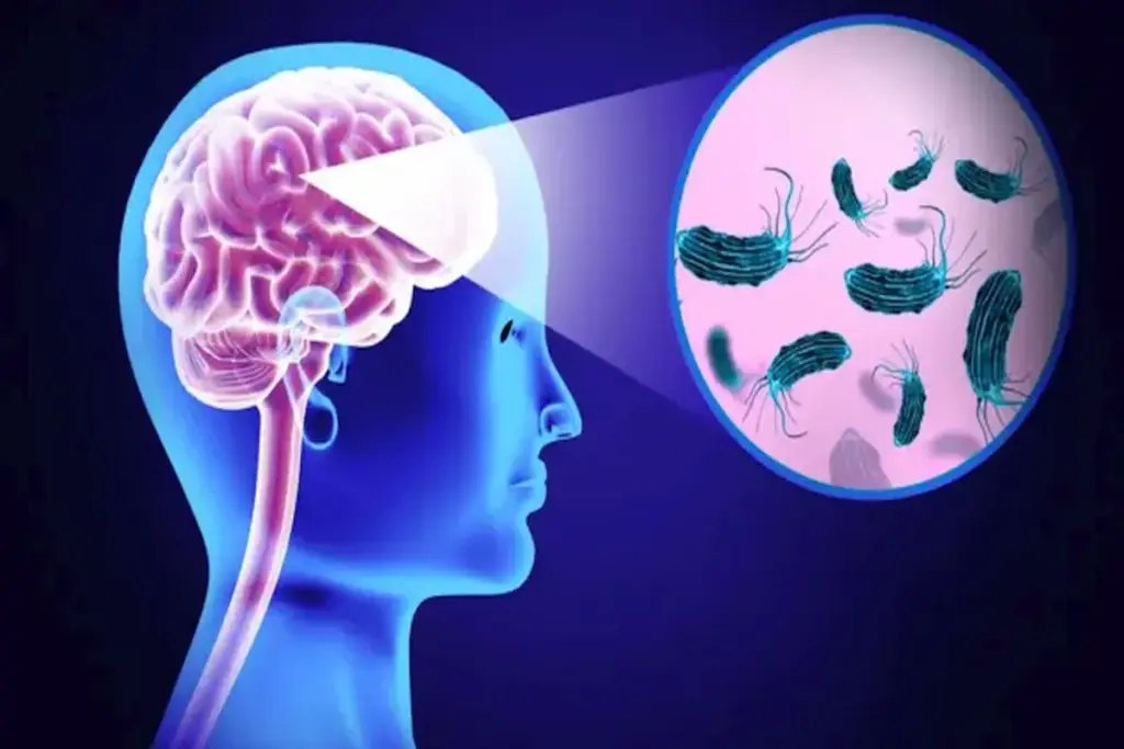 19 people died due to deadly disease "brain-eating" in Kerala, government's problems increased