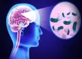 19 people died due to deadly disease "brain-eating" in Kerala, government's problems increased