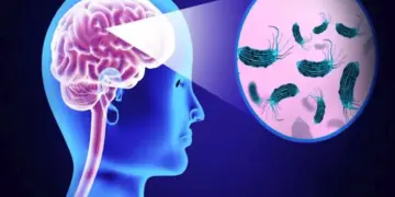 19 people died due to deadly disease "brain-eating" in Kerala, government's problems increased