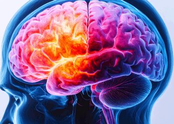 Alzheimer's risk increases due to excessive contact of microplastic: Study