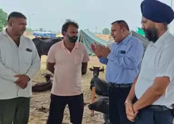 Animal Husbandry Department deployed on alert mode to protect animals in Fazilka, 32 teams deployed