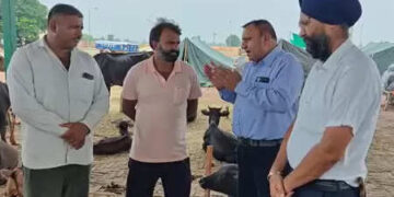 Animal Husbandry Department deployed on alert mode to protect animals in Fazilka, 32 teams deployed