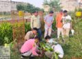 Bharatpur Regional Office made awareness program on World Ozone Day