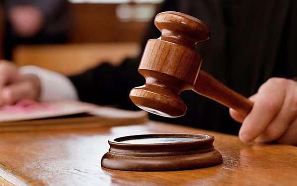 Chandigarh Court punishes 3 bloggers with all-day standing in court for Misleading Video | Class of 3 bloggers in Chandigarh! Punishment for standing all day in court, know the whole matter. News Track in Hindi