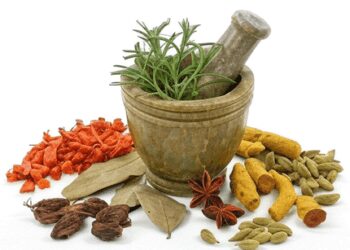 Cleaning body is necessary according to the weather, Ministry of AYUSH said Ayurvedic method