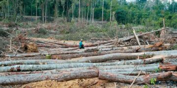 Cover Katha/Flood: Forests Calling Destruction